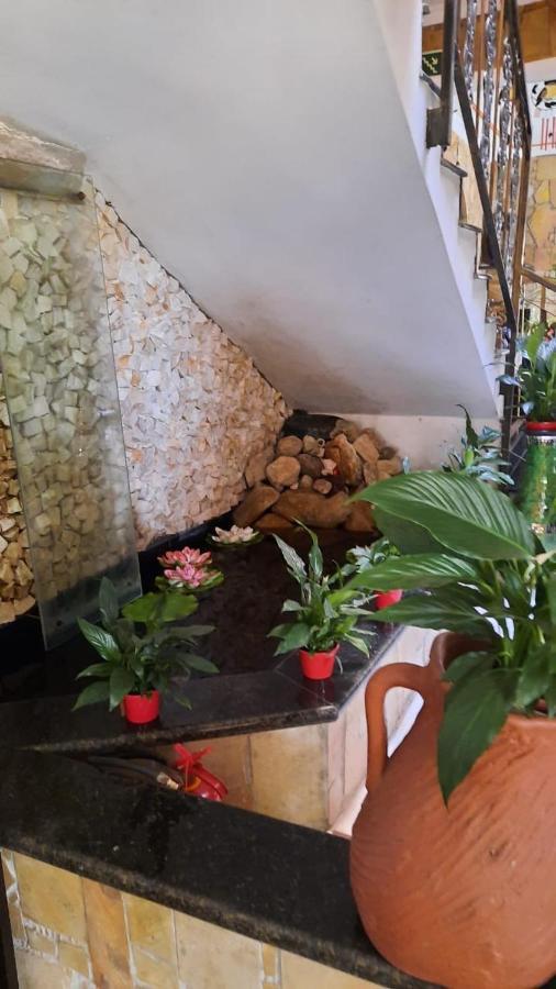 Pousada Canto Das Corujas São Roque Exteriör bild
